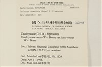 登錄號:A00001918藏品圖，第2張