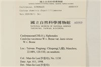 登錄號:A00001919藏品圖，第2張