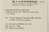 登錄號:A00001919藏品圖，第3張