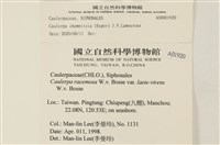 登錄號:A00001920藏品圖，第2張