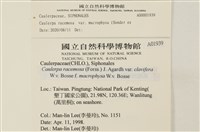 登錄號:A00001939藏品圖，第2張