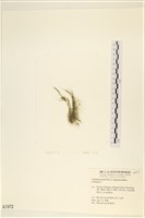 登錄號:A00001972藏品圖，第3張