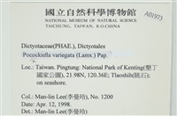 登錄號:A00001973藏品圖，第2張