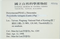 登錄號:A00001978藏品圖，第2張