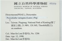 登錄號:A00001979藏品圖，第2張