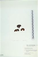 登錄號:A00001979藏品圖，第3張