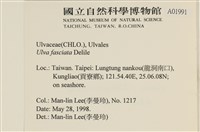 長片石蓴, 裂片石蓴藏品圖，第2張