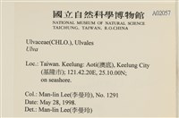 登錄號:A00002057藏品圖，第2張