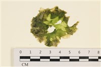 登錄號:A00002057藏品圖，第1張