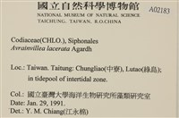 登錄號:A00002183藏品圖，第2張
