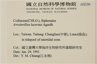 登錄號:A00002184藏品圖，第2張