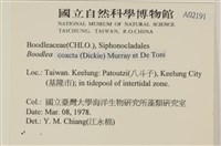 登錄號:A00002191藏品圖，第2張