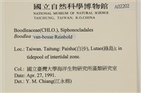 登錄號:A00002202藏品圖，第2張