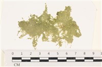 登錄號:A00002202藏品圖，第1張