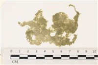 登錄號:A00002203藏品圖，第1張