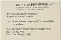 偏列羽藻藏品圖，第2張
