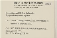 偏列羽藻藏品圖，第2張