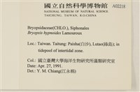 登錄號:A00002218藏品圖，第2張