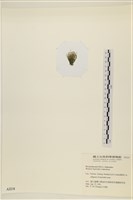 登錄號:A00002218藏品圖，第3張