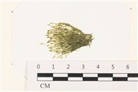 登錄號:A00002218藏品圖，第1張