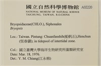 登錄號:A00002220藏品圖，第2張