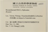 登錄號:A00002223藏品圖，第2張