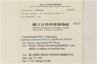 登錄號:A00002272藏品圖，第2張