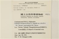 登錄號:A00002273藏品圖，第2張