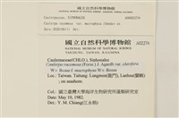 登錄號:A00002274藏品圖，第2張