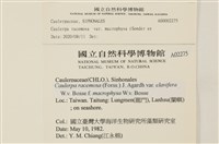 登錄號:A00002275藏品圖，第2張