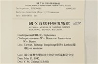 登錄號:A00002285藏品圖，第2張