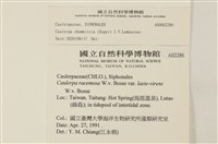 登錄號:A00002286藏品圖，第2張