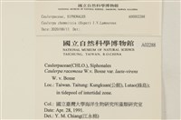 登錄號:A00002288藏品圖，第2張