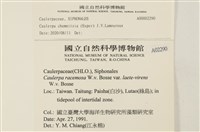 登錄號:A00002290藏品圖，第2張