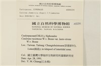 登錄號:A00002291藏品圖，第2張