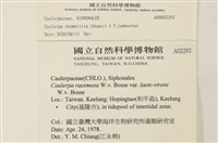 登錄號:A00002292藏品圖，第2張