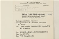 登錄號:A00002293藏品圖，第2張