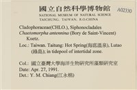 登錄號:A00002330藏品圖，第2張