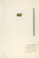 登錄號:A00002330藏品圖，第3張