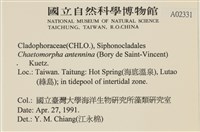 登錄號:A00002331藏品圖，第2張