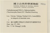 登錄號:A00002333藏品圖，第2張