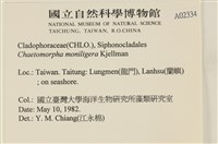 登錄號:A00002334藏品圖，第2張