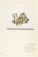 粗硬毛藻, 綠苔藏品圖，第1張