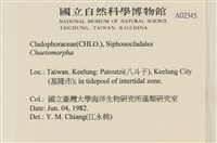 登錄號:A00002345藏品圖，第2張