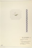 登錄號:A00002345藏品圖，第3張