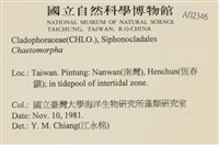 登錄號:A00002346藏品圖，第2張