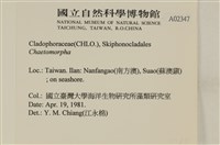 登錄號:A00002347藏品圖，第2張