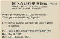 小毛孢藻, 小鹿角苔藏品圖，第2張