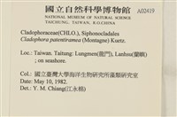 登錄號:A00002419藏品圖，第2張