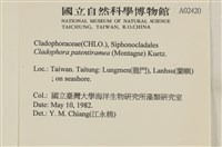 登錄號:A00002420藏品圖，第2張